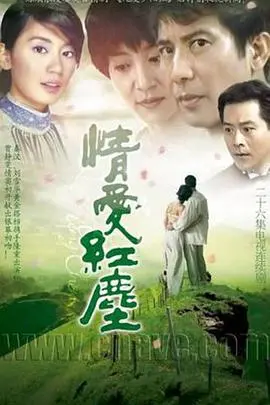 《情爱红尘》：一段触动心弦的爱恋，在红尘俗世中寻找真挚的情感