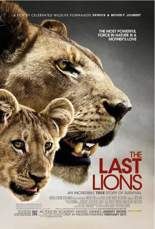 《最后的狮子》：母爱史诗，非洲草原的残酷童话，一场关于生存与守护的悲壮旅程